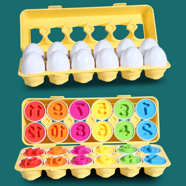 Matching Montessori Sensory Educational Eggs